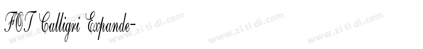 FOT Calligri Expande字体转换